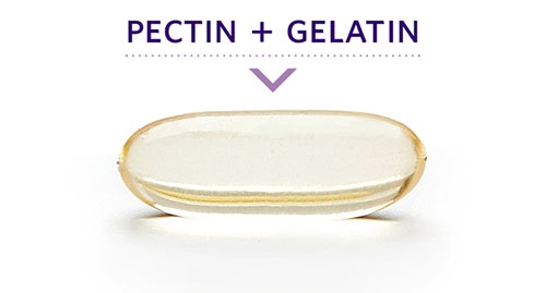 Graphic indicating that OptiGel DR is created by a combination of Pectin and Gelatin